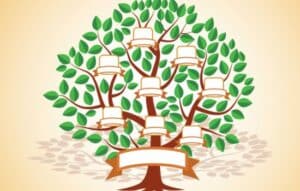 Conecta con tu historia familiar hoy!