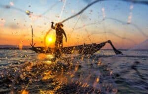 Domina la pesca con Apps!