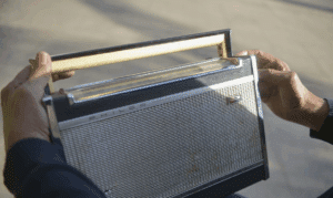 Radio AM FM en tu Móvil