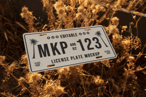 Verifica Autos Extranjeros Sin Sorpresas