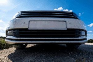 Tu Auto Importado al Desnudo