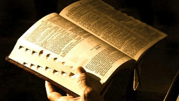 Lectura Bíblica: Tu Guía de Vida